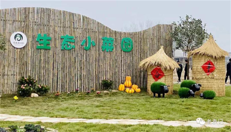 604ae855d61ab.jpg 9.jpg