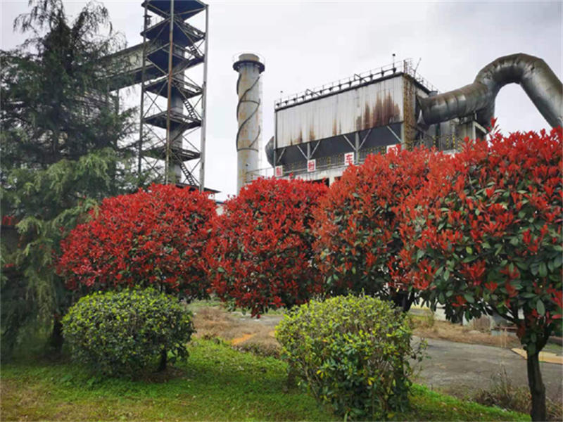 605466f984e6e.jpg 微信图片_20210319164619.jpg