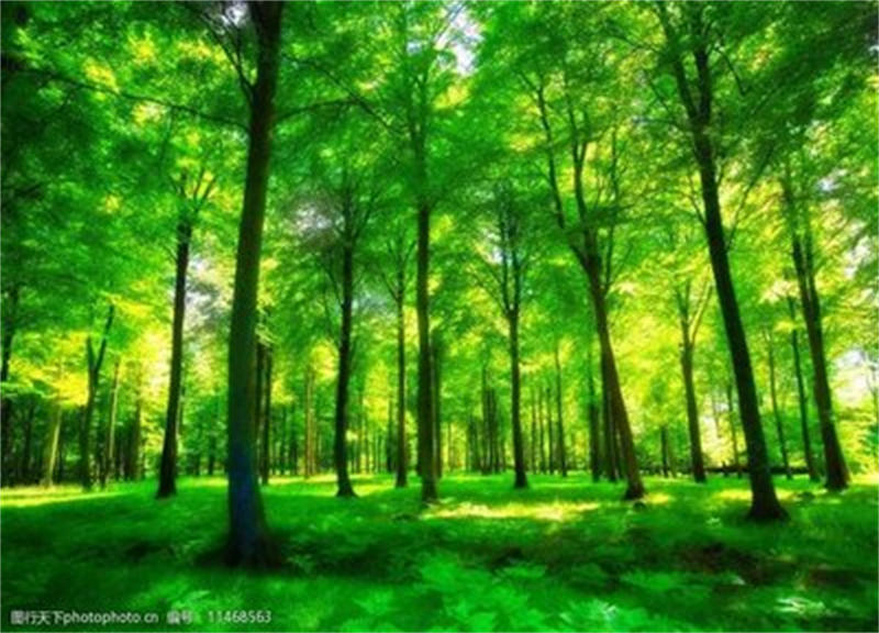 6069aff64aa22.jpg t01e6579c065bf336e5.jpg