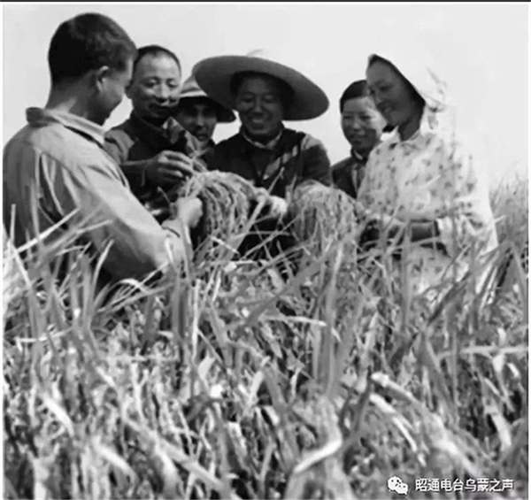 61cc76a9d9101.png WechatIMG130副本.png