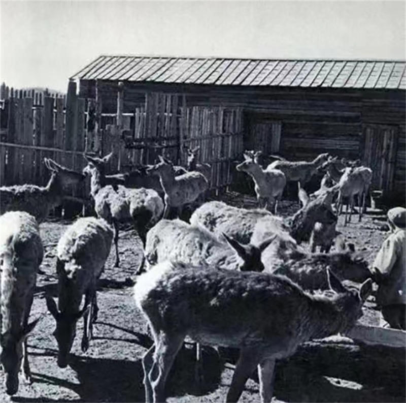 61cc7741367bb.jpg WechatIMG132.jpg