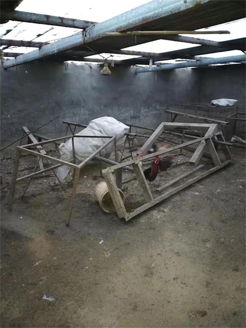 621f8965a8e0e.jpg WechatIMG362.jpg