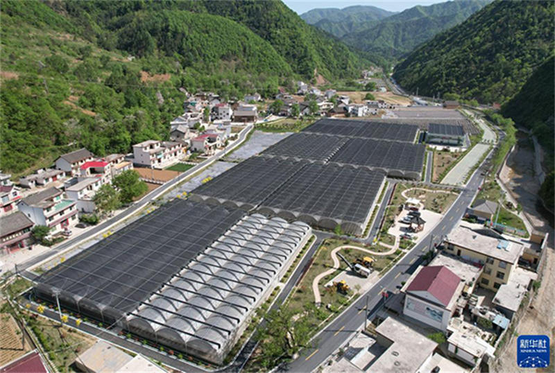 62642647b2b77.jpg 1128584886_16505990749371n.jpg