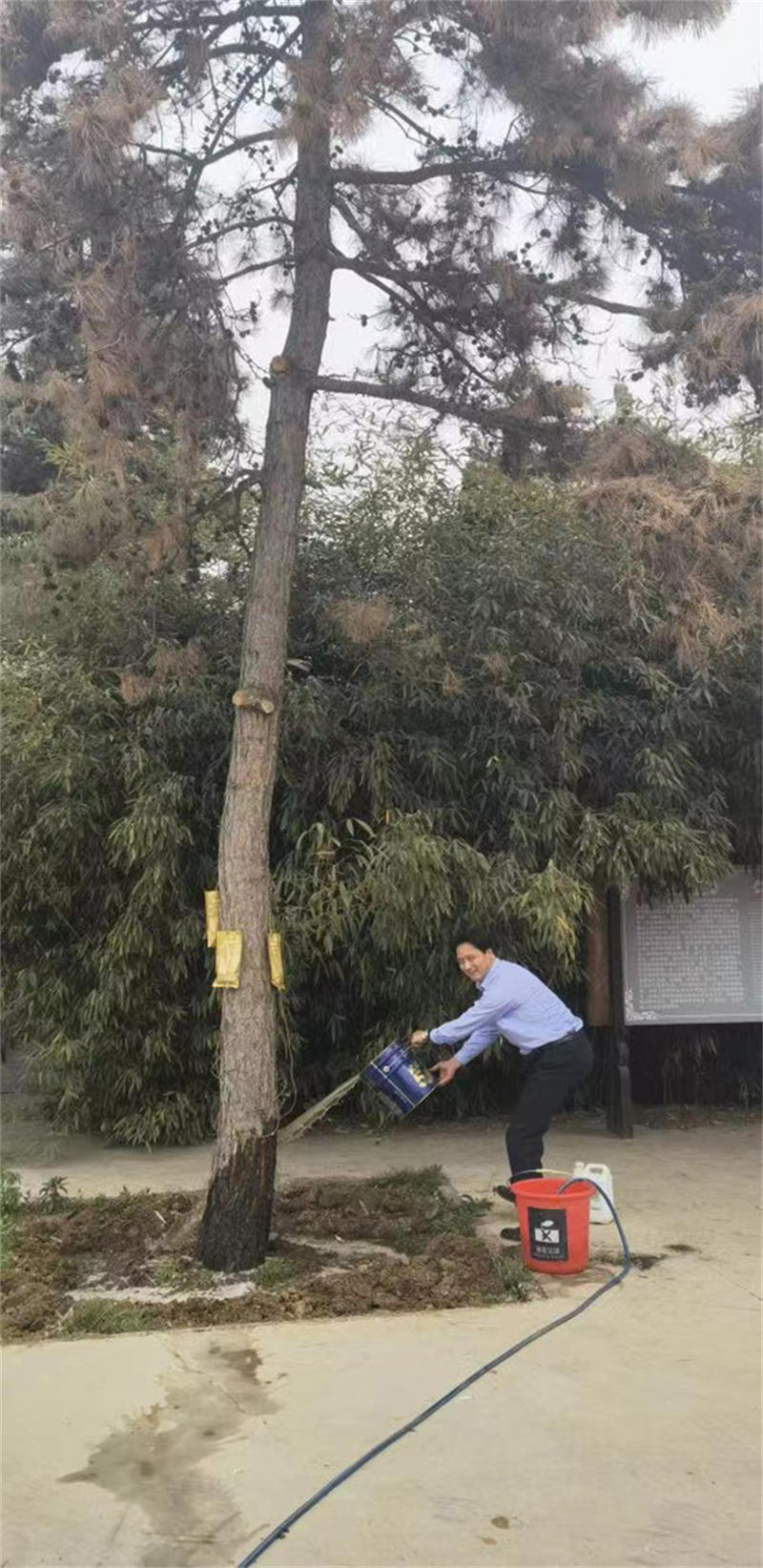 626e409a352e8.jpg 1.jpg