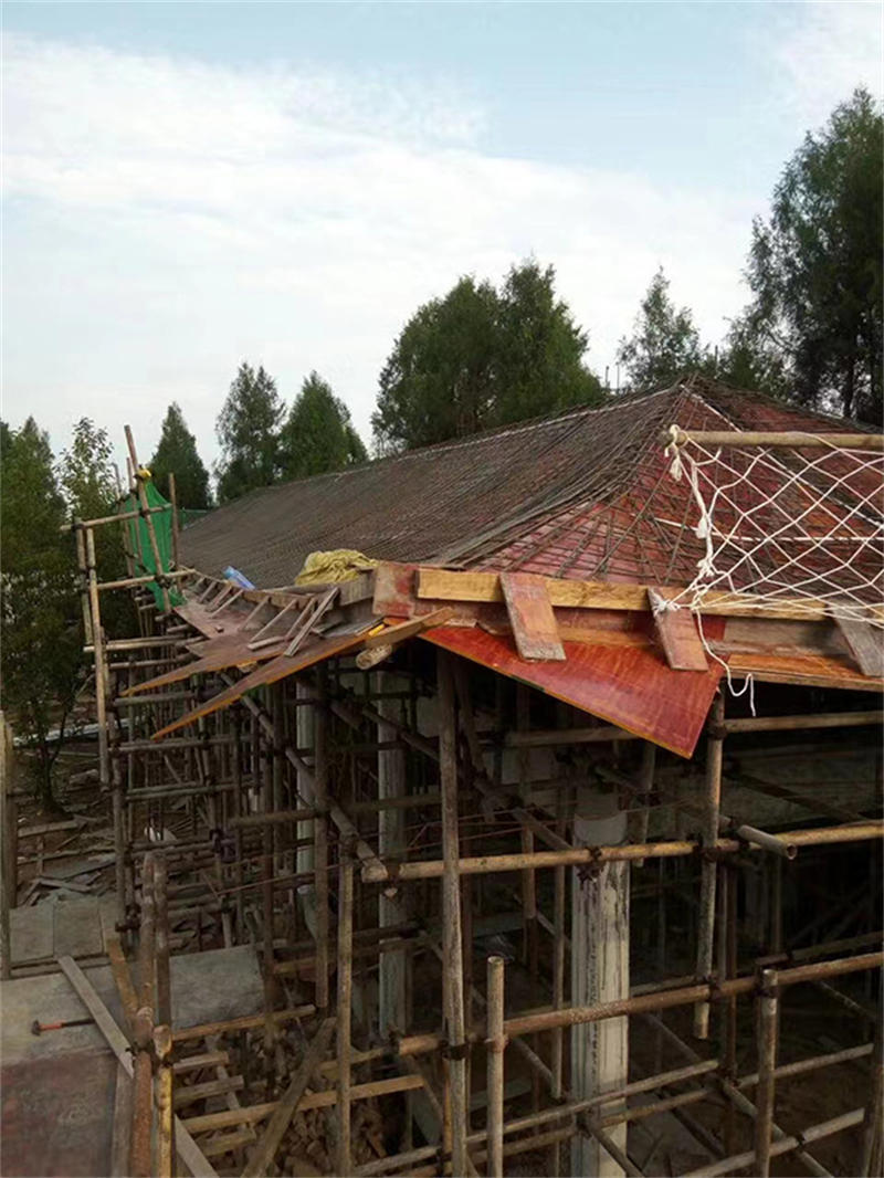 627cf5badbf31.jpg 03.jpg