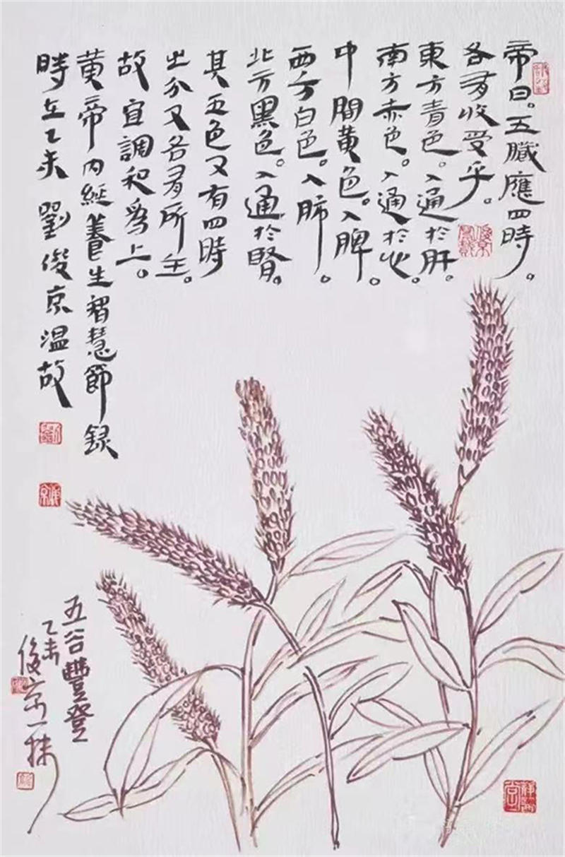 62b078974bc46.jpg 9.jpg