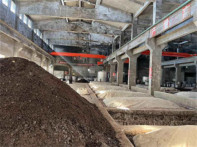 62e0ac242684e.jpg 09.jpg