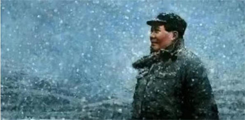 6358e2dff3036.jpg 005.jpg