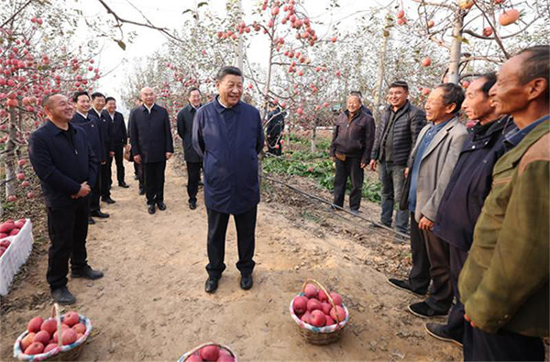 635ccdac34c33.jpg 111.jpg