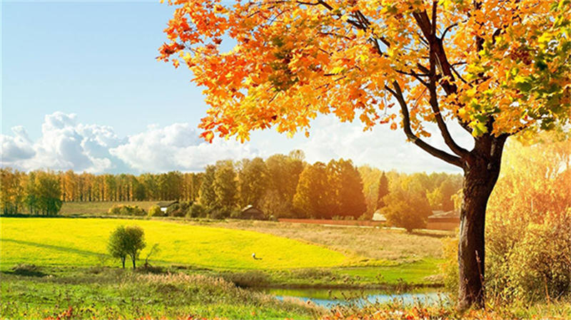 6369edc9502db.jpg 1111.jpg