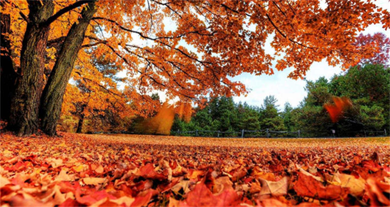 6369ee4a85a50.jpg 06.jpg