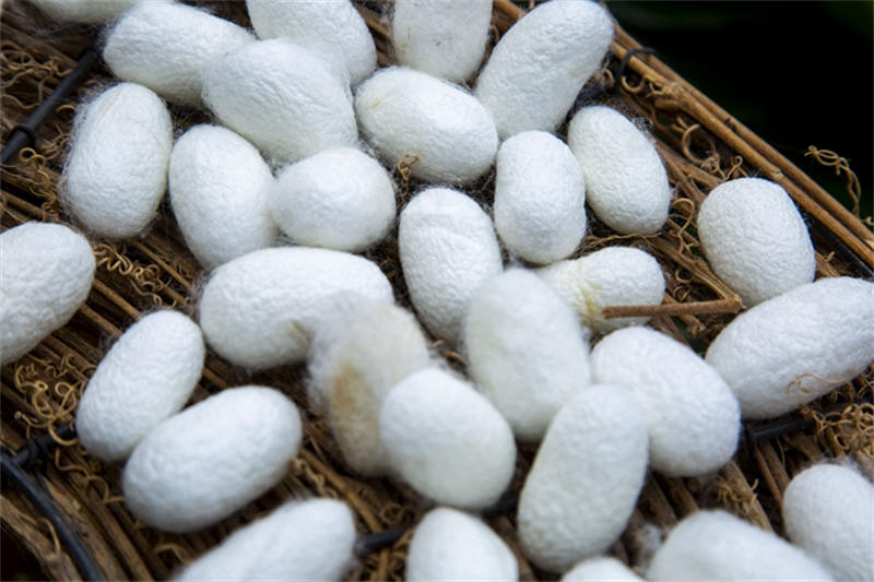 64ba86aac9810.jpg 啊111111111111111.jpg