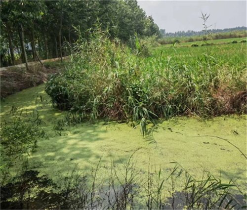 64c0d88a63108.png 铭3333333333333.png