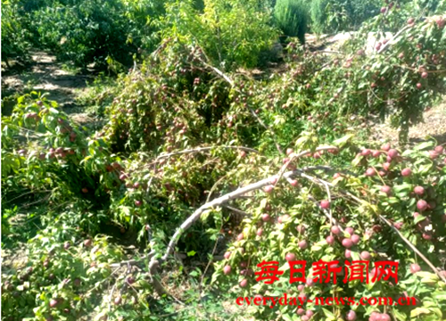 去22222222222222.png 去22222222222222.png