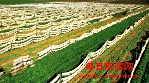 444444444.png 444444444.png