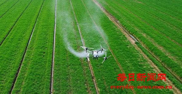 WechatIMG621.jpg WechatIMG621.jpg