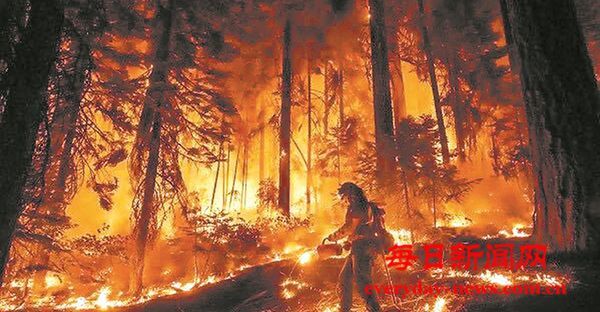 美国加州燃起新山火 当地发布疏散令