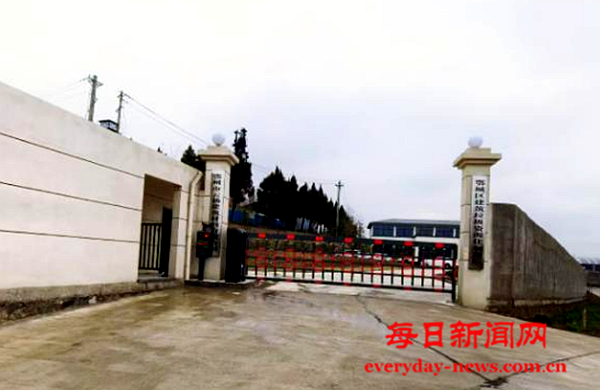 案555555555555555.png 案555555555555555.png