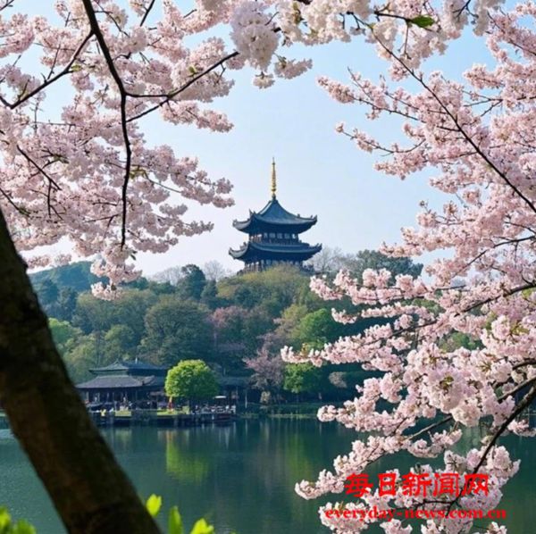 叮咚！2025春日赏花时间表请查收