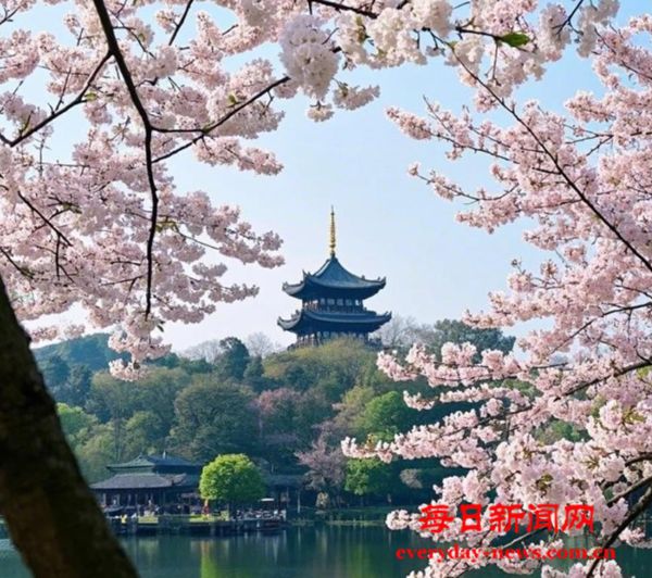 叮咚！2025春日赏花时间表请查收