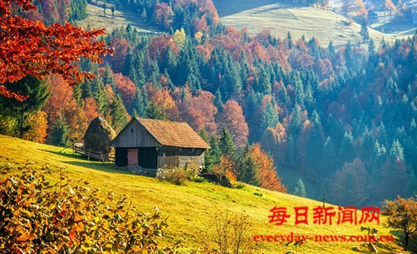 这五种实体肿瘤与肥胖密切相关 | 早点健