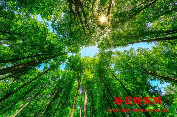 国内首个RWA数字岛屿项目启动 中国以创