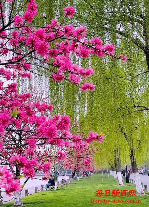 中国法学会、司法部、共青团中央联合印发《