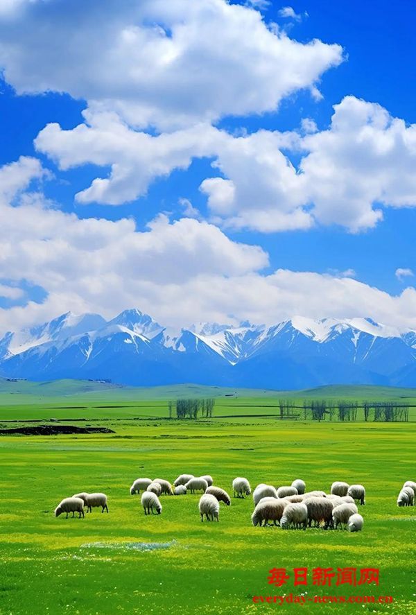 劳动谱写时代华章 奋斗创造美好未来——总