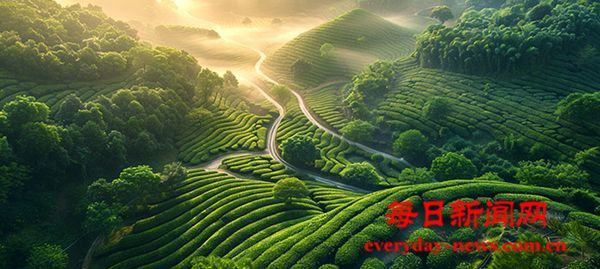 2025两岸（庐山）青年交流发展大会开幕