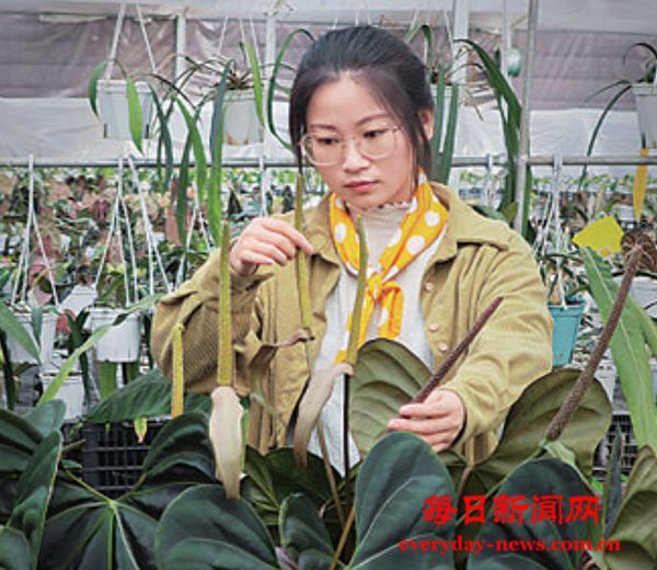 “兴农人”在田野展才能