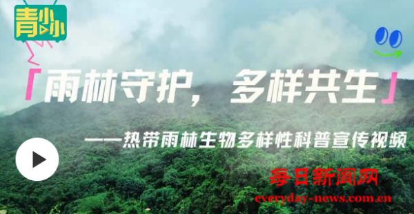 海南师范大学：探秘热带雨林，共赏自然奇观