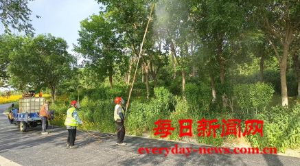 烟台高新区综合行政执法局：开展病虫害防治