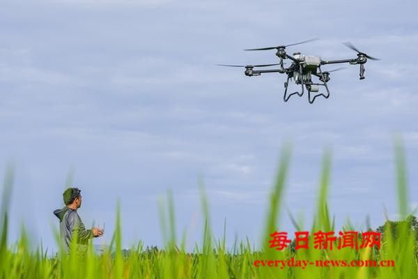 失序的无人机“飞手”培训市场亟待监管