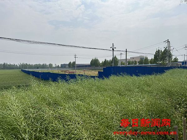 是谁搁浅了我们的守望