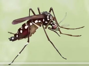 文字111111111111.png 文字111111111111.png