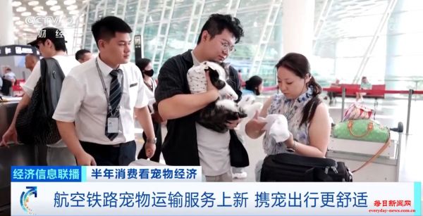 航空铁路宠物运输服务上新 携宠出行还有这