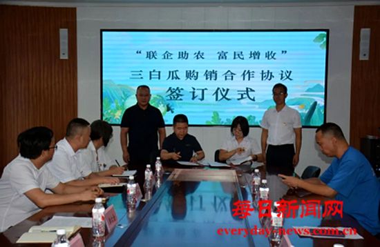 南张乡百万斤三白瓜“地头直采”助农增收