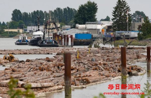 国际观察丨美“对等关税”生效 经济讹诈遭