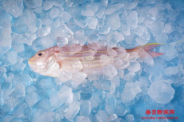 “开渔季”到了！这份健康尝“鲜”指南快收