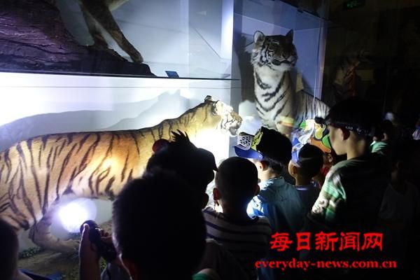 夜宿博物馆一票难求