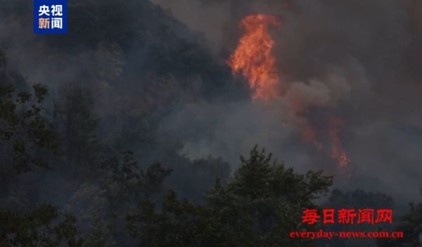 阿尔巴尼亚森林火灾持续 超20人因蓄意纵