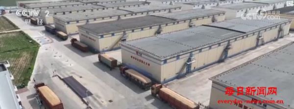 全国夏粮小麦收购超8000万吨！最低收购