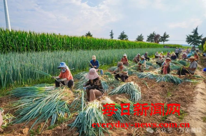 全球11111111111111.png 全球11111111111111.png