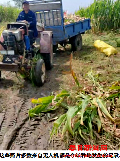 案7777777777777.png 案7777777777777.png