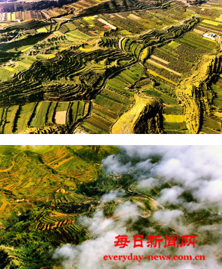 我333444.png 我333444.png