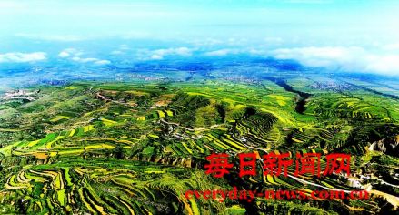 万荣：丰收大地绘希望