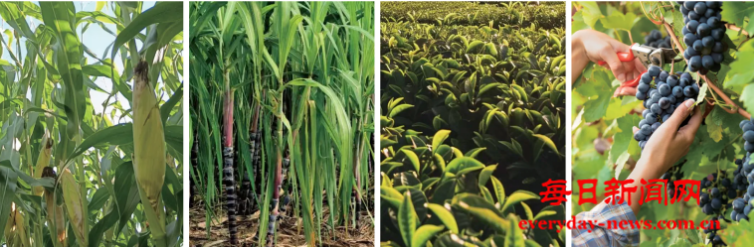 去555555555555.png 去555555555555.png