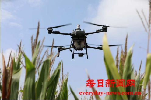 中国人寿财险全力以赴 守护秋粮丰收