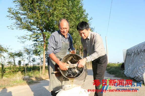 盐城滨海：首乌花蜜“甜”满振兴路