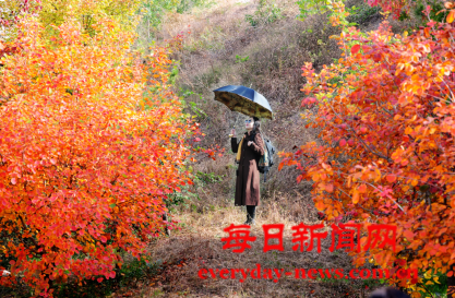 去11111.png 去11111.png